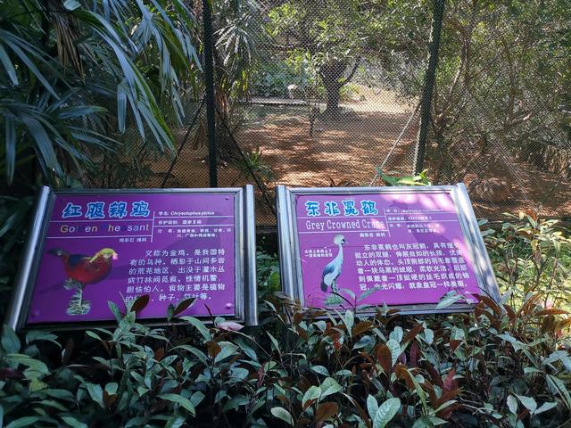 廣州動物園玩轉攻略（廣州動物園之旅）7