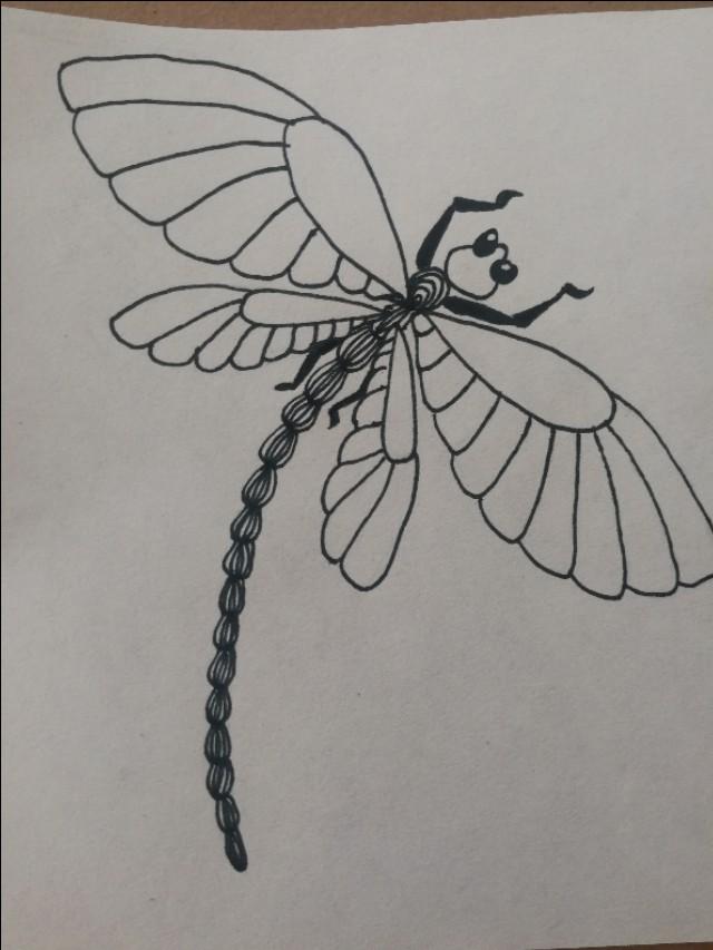 線條蜻蜓怎麼畫（超簡單的線描蜻蜓畫）5