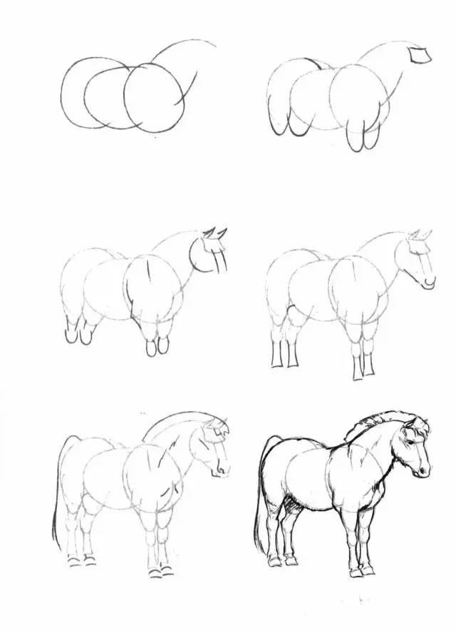 怎麼畫馬最簡單最好看帥氣（幹貨不會畫馬教你40種馬的結構畫法）38