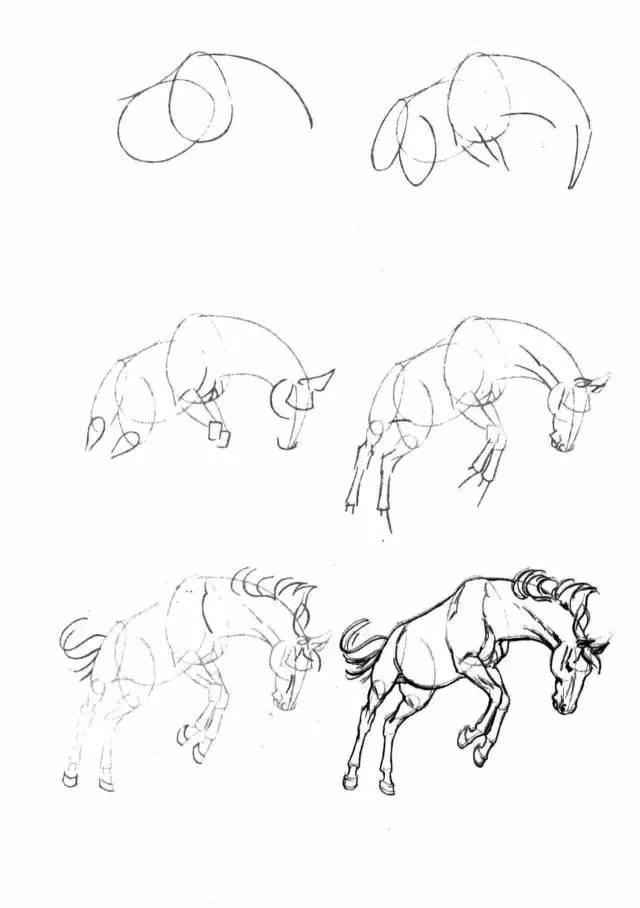 怎麼畫馬最簡單最好看帥氣（幹貨不會畫馬教你40種馬的結構畫法）8