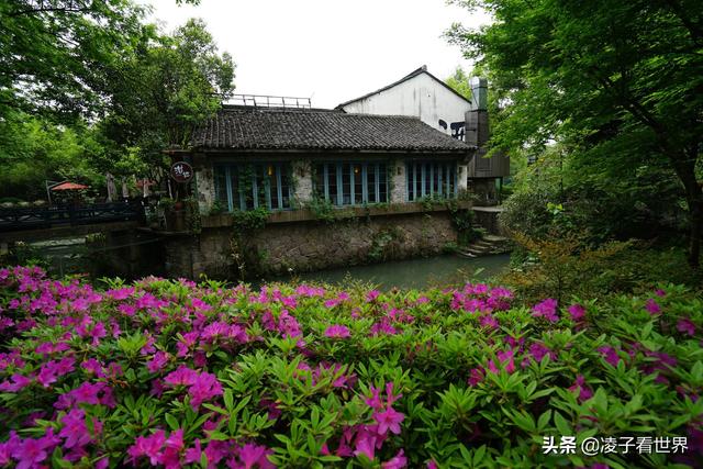 杭州西溪國家濕地公園免費（杭州西溪有個國際級濕地公園）5