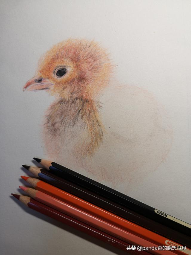 簡單的畫畫教程小雞（簡單幾步教畫畫）4