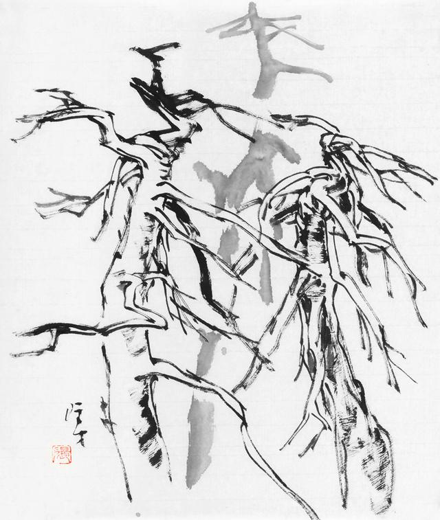 山水畫中的中景樹怎麼畫（如何運用立幹法和分枝法畫好山水畫中的樹）6