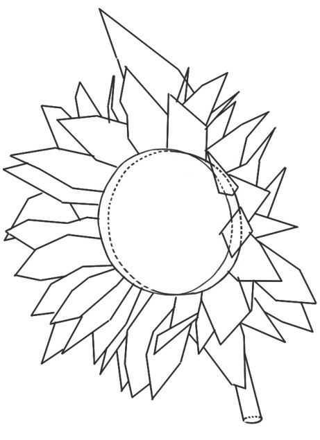超簡單簡筆畫向日葵的畫法（适合零基礎學習的鋼筆畫向日葵畫法）2