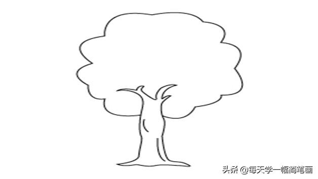 簡筆畫繪畫教程樹的畫法（每天學一幅簡筆畫--樹的簡單畫法）3