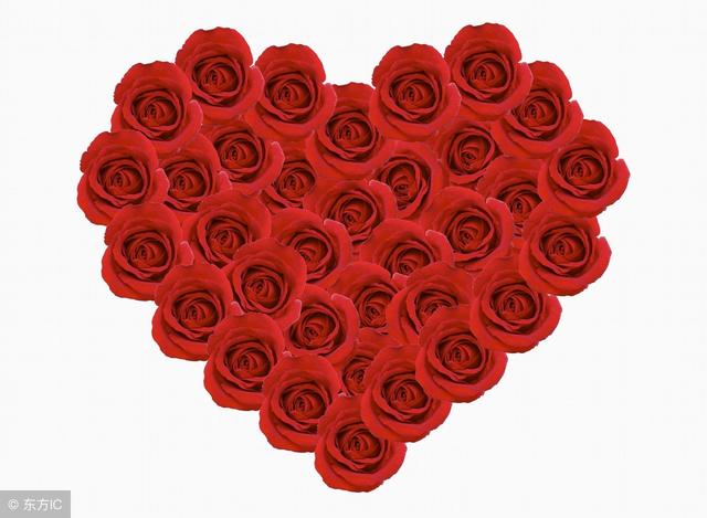 你知道玫瑰花的花語是什麼嗎（不同的數量代表不同的愛）31