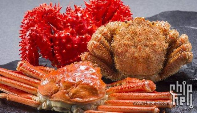 海邊海鮮螃蟹常見種類（海鮮中的巨無霸-蟹類）12