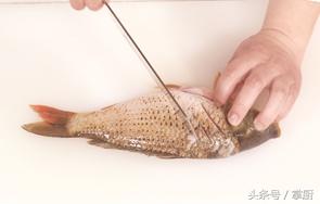鐵鍋炖魚的做法最正宗的做法（大廚教你黑龍江鐵鍋炖魚家常做法）3