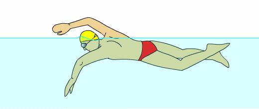 幾種遊泳姿勢教學（常見易學的幾種遊泳姿勢）2