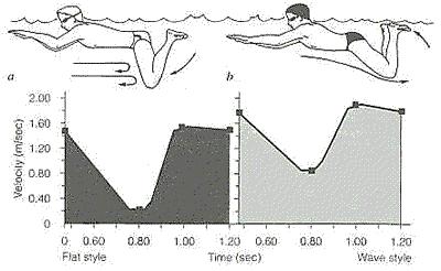 幾種遊泳姿勢教學（常見易學的幾種遊泳姿勢）1