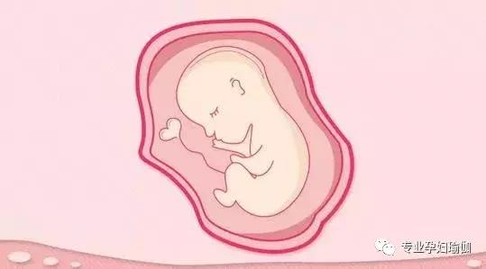 胎兒在子宮中有呼吸作用嗎（胎兒在子宮會呼吸嗎）1