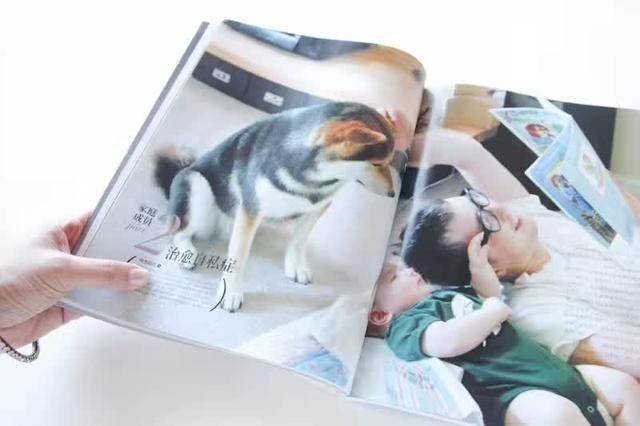 日本最出名的一隻柴犬陪老奶奶（日本這個6歲的小正太）43
