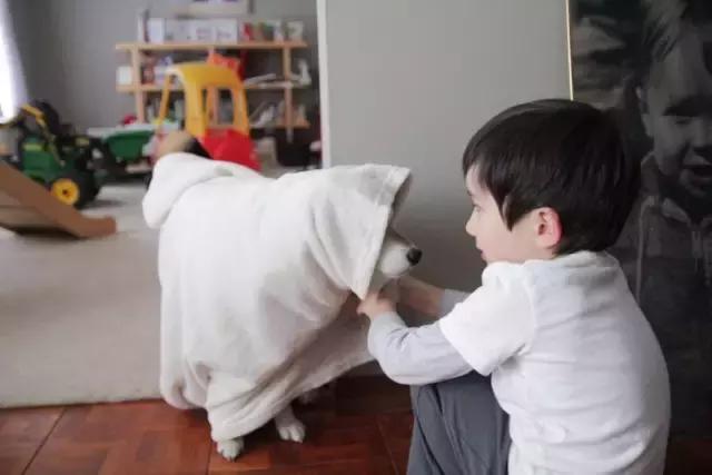 日本最出名的一隻柴犬陪老奶奶（日本這個6歲的小正太）105