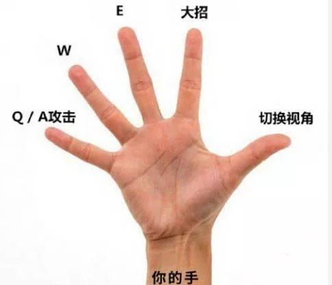 5個手指中食指代表怎樣的人（人的5個手指左右是什麼）2