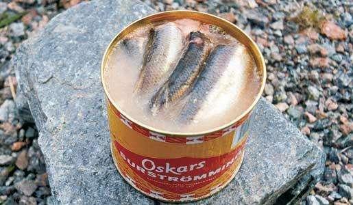 鲱魚罐頭為啥那麼臭還生産（鲱魚罐頭這麼臭這麼難吃）2