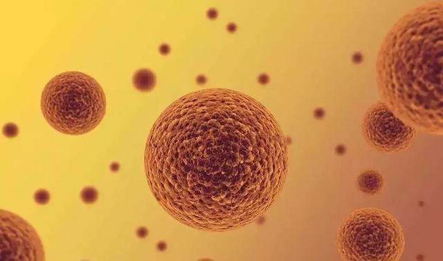 免疫幹細胞知識（怎樣區分幹細胞與免疫細胞）2