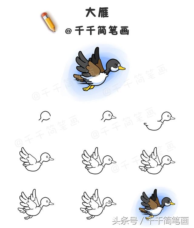 鳥類畫法的基本筆畫（鳥類簡筆畫步驟圖）1