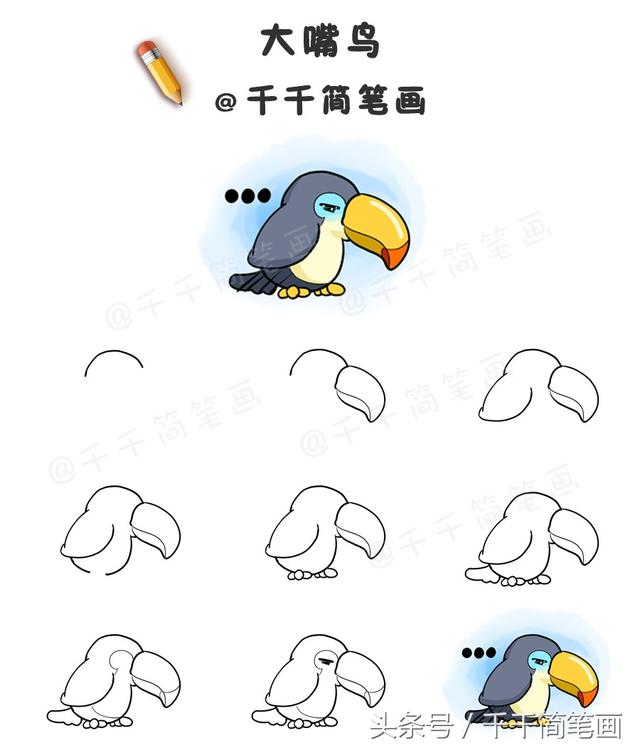 鳥類畫法的基本筆畫（鳥類簡筆畫步驟圖）2