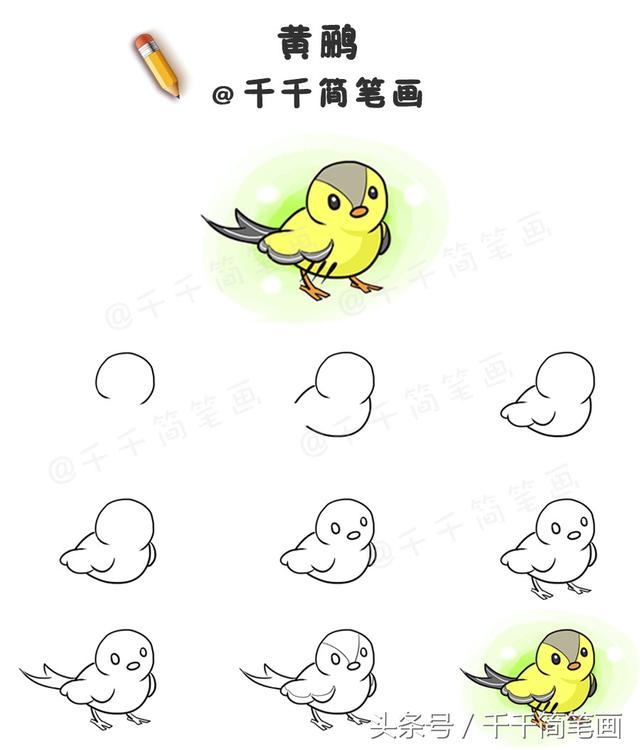 鳥類畫法的基本筆畫（鳥類簡筆畫步驟圖）4