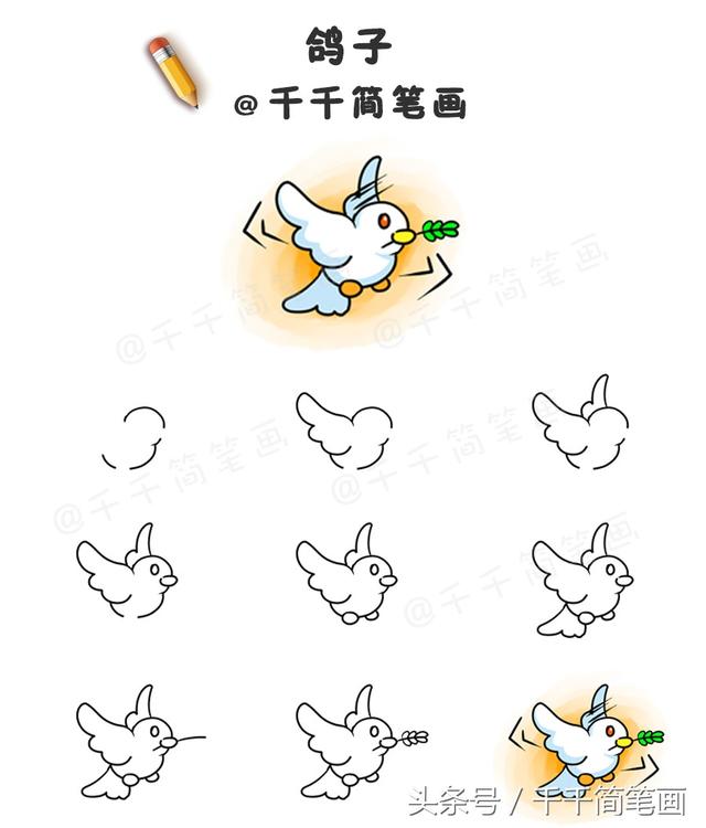 鳥類畫法的基本筆畫（鳥類簡筆畫步驟圖）3