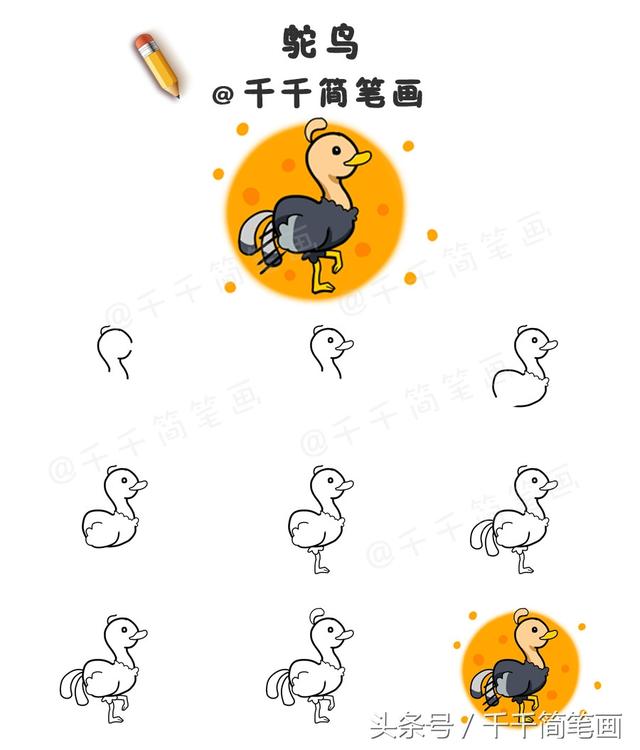 鳥類畫法的基本筆畫（鳥類簡筆畫步驟圖）8