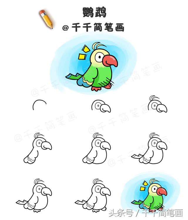 鳥類畫法的基本筆畫（鳥類簡筆畫步驟圖）9