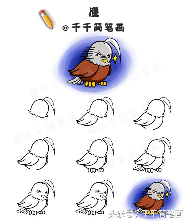 鳥類畫法的基本筆畫（鳥類簡筆畫步驟圖）10