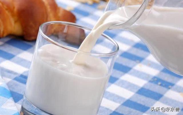 普通牛奶和脫脂牛奶哪個适合減肥（神奇的牛奶減肥法）5