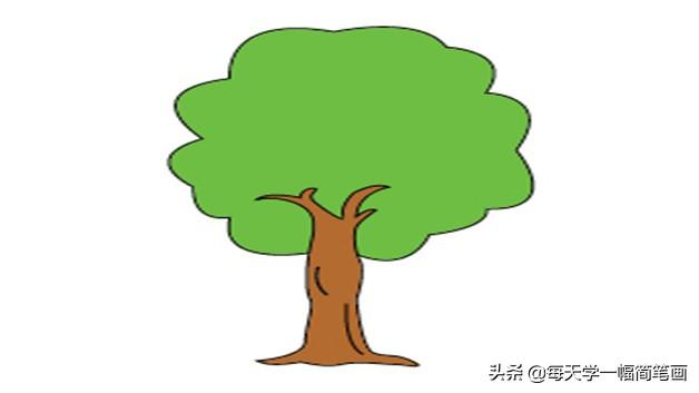簡筆畫繪畫教程樹的畫法（每天學一幅簡筆畫--樹的簡單畫法）4