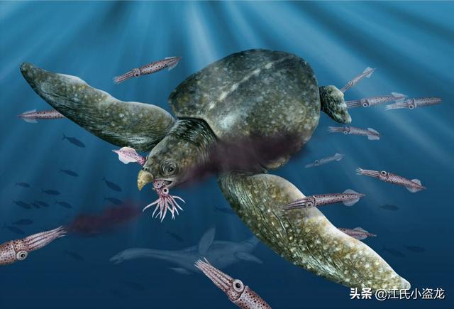 世界上體型最大的海龜是什麼龜（背殼能停小汽車的遠古巨龜）12
