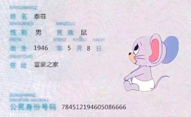 貓和老鼠的身份證（貓和老鼠角色辦身份證）5