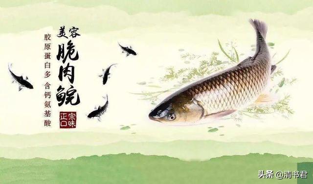 深圳正宗脆肉鲩魚（草魚脆肉鲩中山特産的明星魚）3