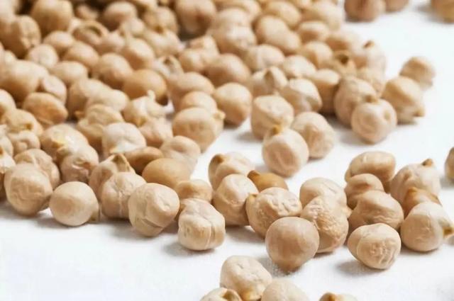 高蛋白鷹嘴豆（風靡世界的優質植物蛋白--鷹嘴豆）4