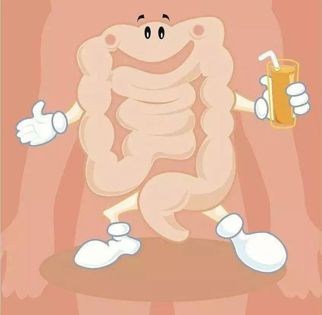 腸胃疾病可以通過糞便檢查嗎（不要忽視便便給你的信号）5