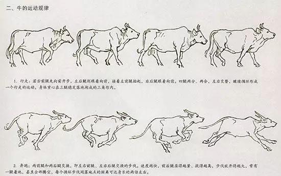 牛的國畫筆法（國畫教程牛的畫法）3