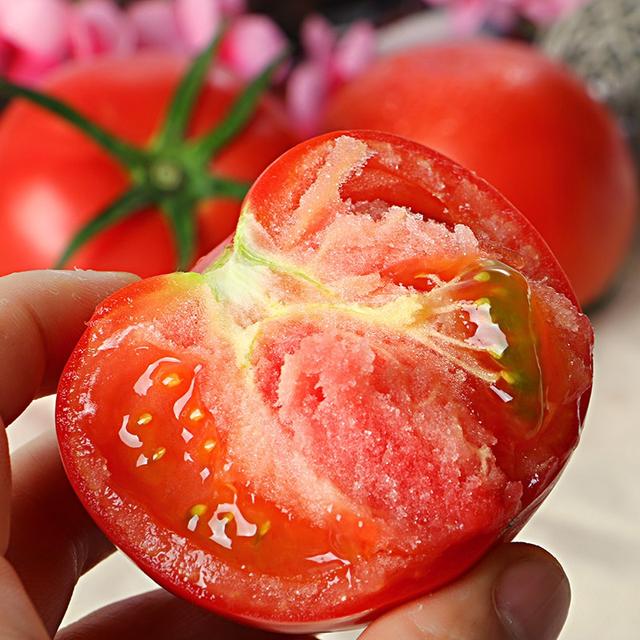 不用大棚種植的優質番茄品種（這個番茄品種糖度高）3