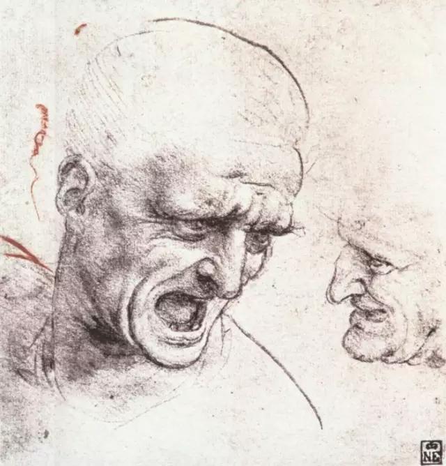 著名畫家達芬奇的個人資料（意大利畫家達芬奇）18