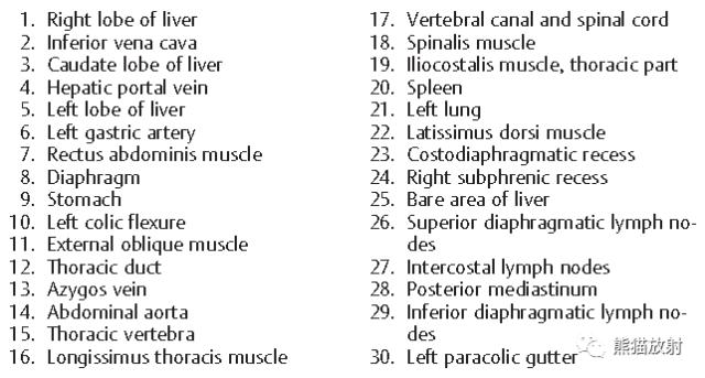 肝總管ct解剖位置（收藏上腹部CT斷層）13