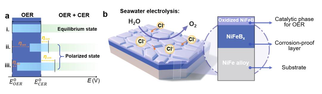 電催化氧化濃縮滲濾液（設計具有高催化活性和耐腐蝕性的多層析氧電極助力海水電解）(3)