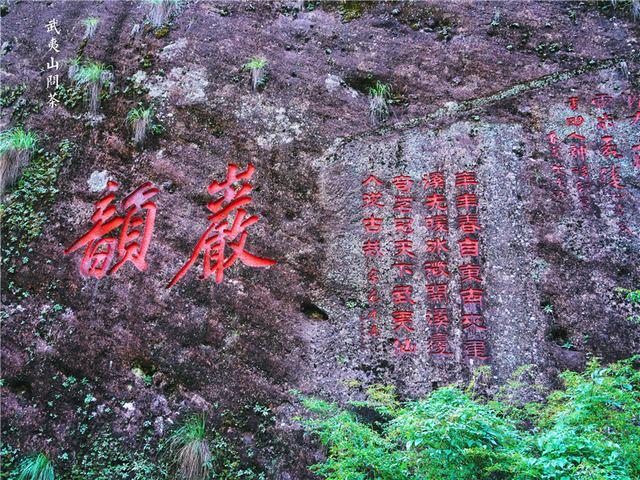 武夷山的大紅袍茶樹是什麼樣子（三棵國寶級的大紅袍茶樹）5