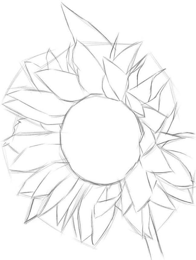 超簡單簡筆畫向日葵的畫法（适合零基礎學習的鋼筆畫向日葵畫法）9