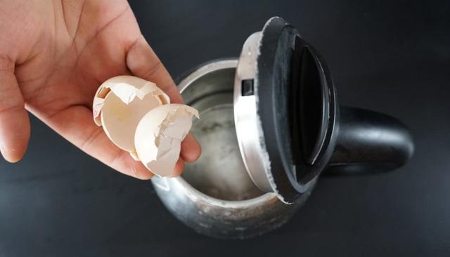 雞蛋殼的使用方法和注意事項（網上最全雞蛋殼妙用）12