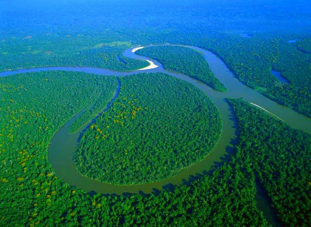 為什麼亞馬遜河沒人敢遊泳（無人敢下河遊泳）4