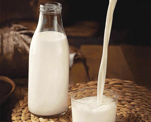 牛奶補鈣效果為什麼比較好（牛奶真的能補鈣嗎）1