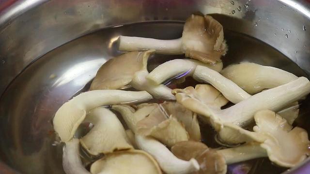 蘑菇的家常做法大全最簡單的（蘑菇最好吃的做法）2