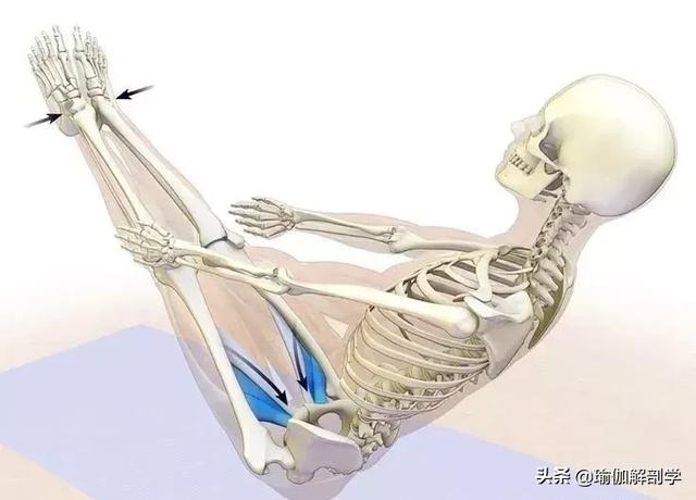 伸展大腿内側瑜伽動作（10個瑜伽動作和大腿内側的）3