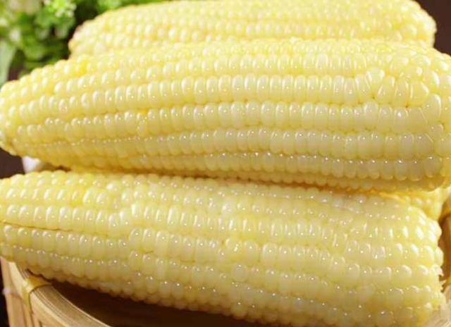 怎麼挑選玉米好還是壞（黃色的好還是白色的好）6