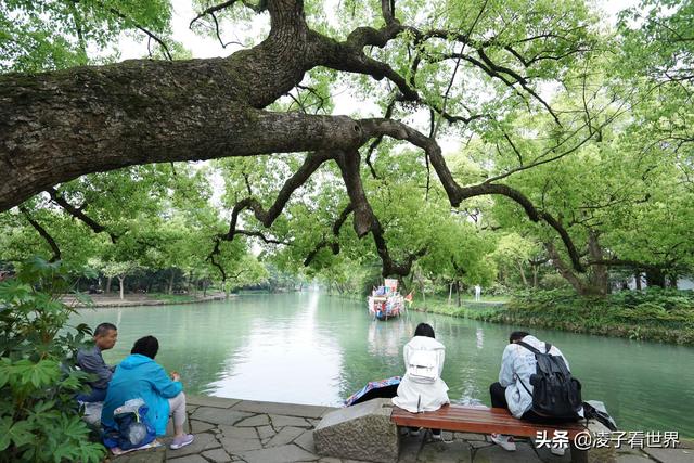 杭州西溪國家濕地公園免費（杭州西溪有個國際級濕地公園）2