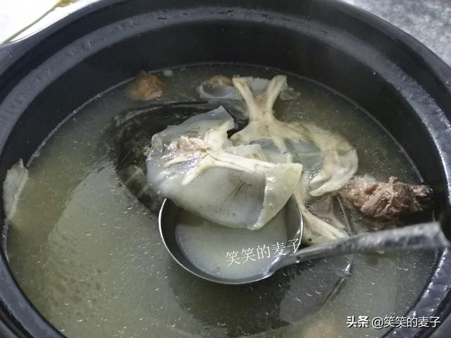 清炖甲魚湯簡單做法（隻需注意這一步）11