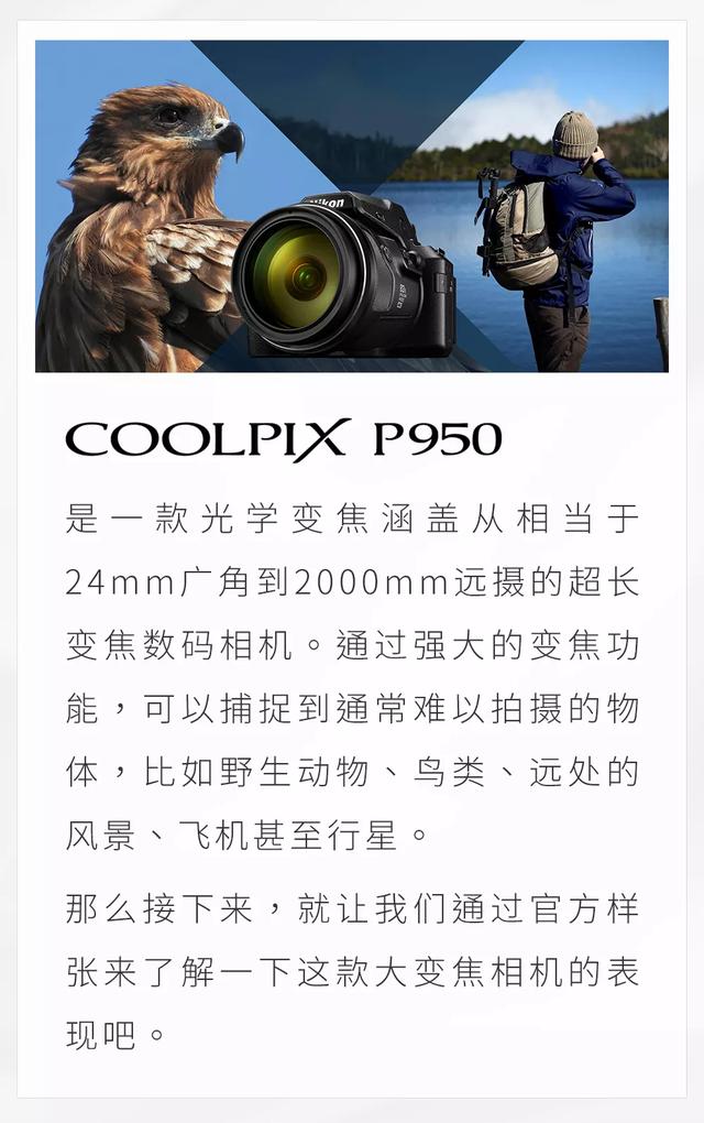尼康coolpix p90拍攝（遠攝世界近在眼前）1
